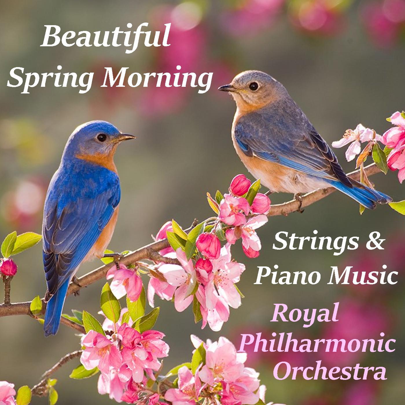 Beautiful Spring Morning Strings & Piano Music Music