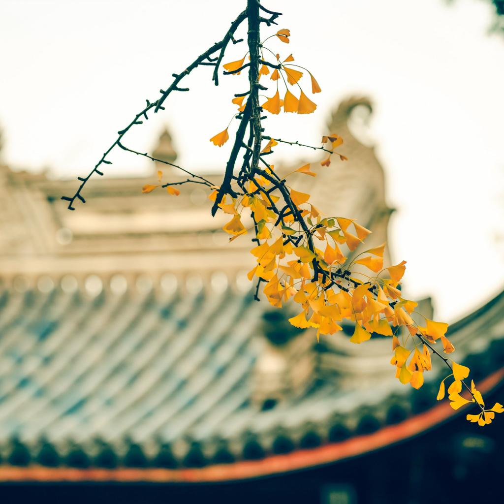 民谣｜故事·现实·情怀·远方