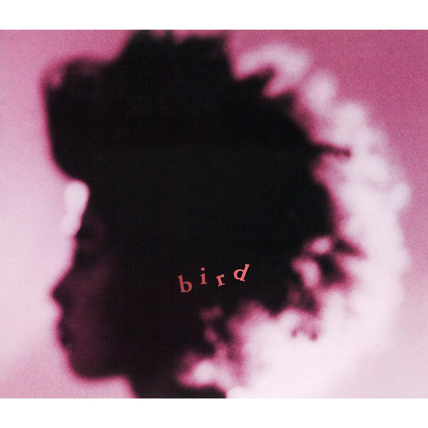 Bird - BEATS