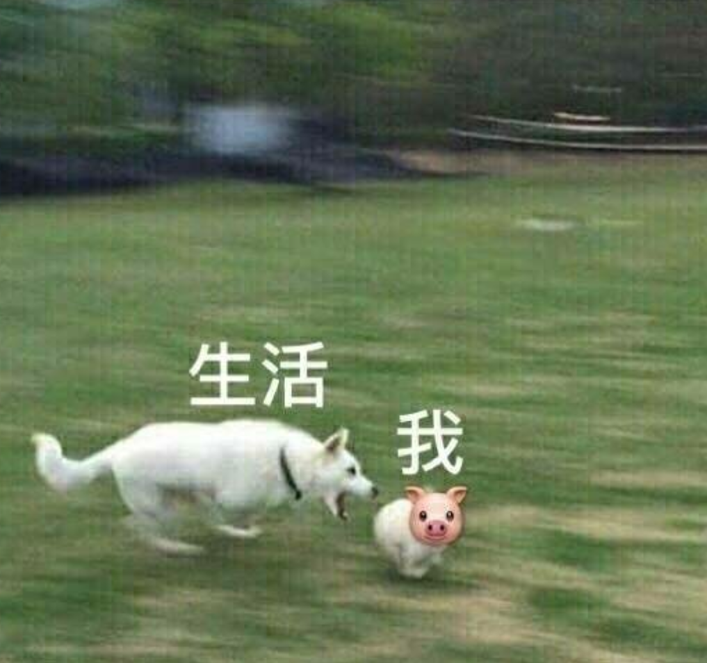 答案专辑