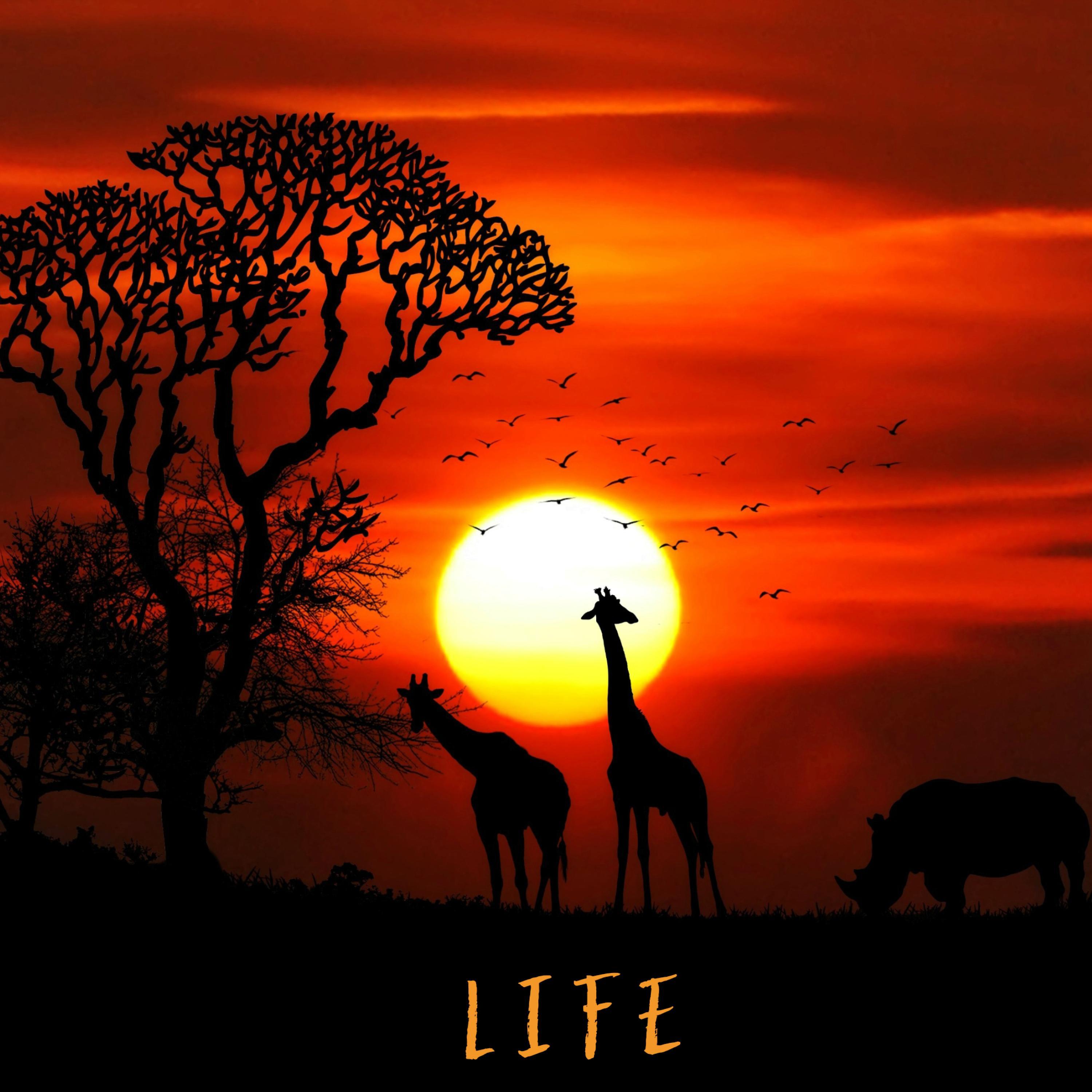 Life (feat. Gambia)