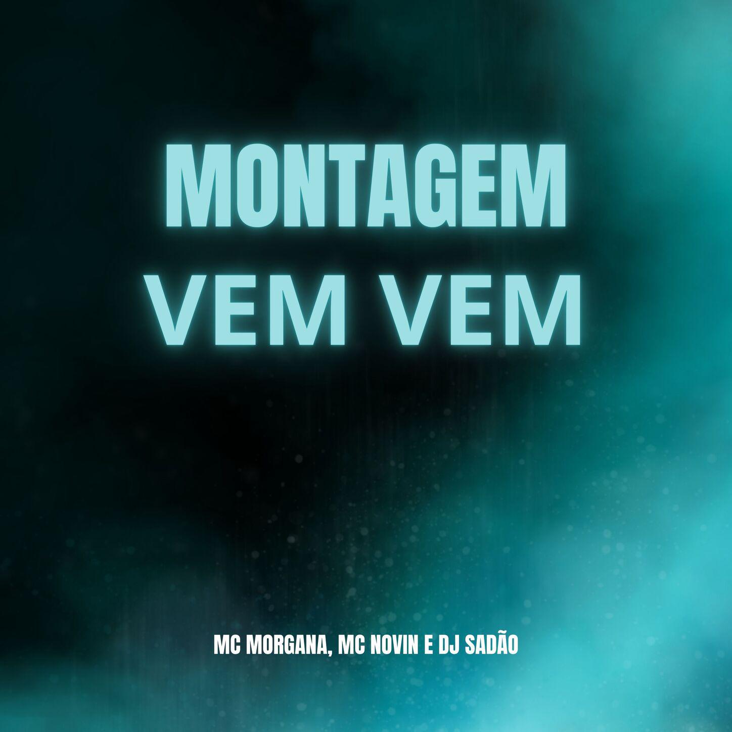 DJ Sadão - Montagem Vem Vem