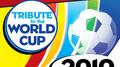 Tribute to the World Cup 2010专辑