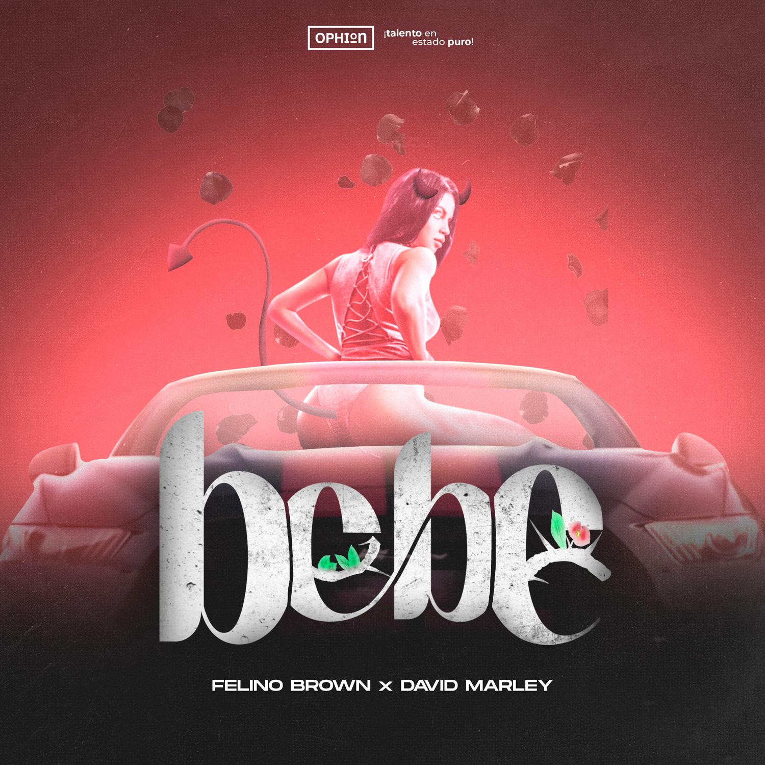 Bebe