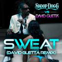 Sweat (Snoop Dogg vs. David Guetta) [Remix]专辑