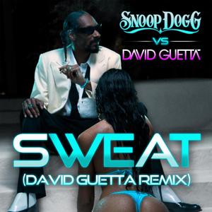 Snoop Dogg、David Guetta - Sweat (原版伴奏) （升8半音）