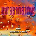 Never Ever Forget Forever（old version ）