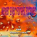 Never Ever Forget Forever（old version ）专辑