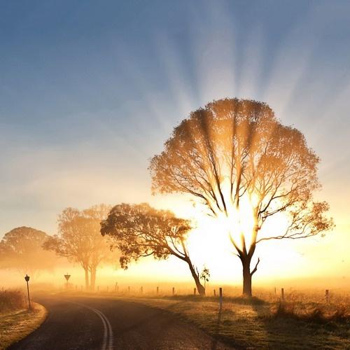 Morning