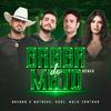 Brenno & Matheus - Braba do Mato (Remix)