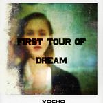 First tour of dream专辑