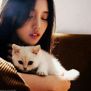 『日语』少女情怀总成诗