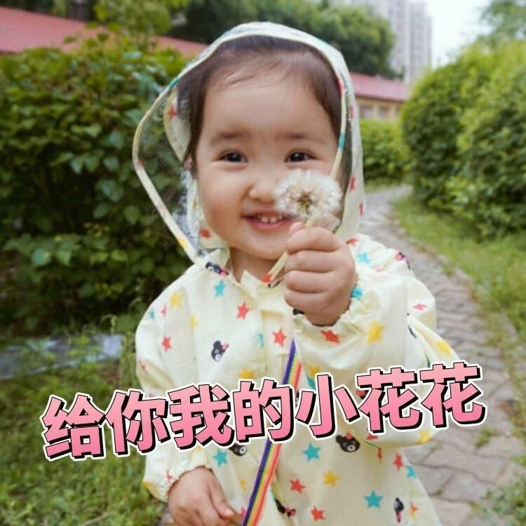 幼儿园的歌（收集中）