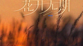 花开无期专辑