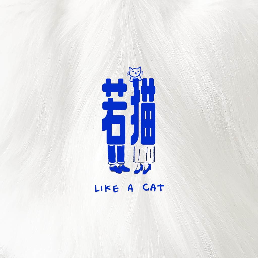 你会不会像只猫 ，心事让人猜不到