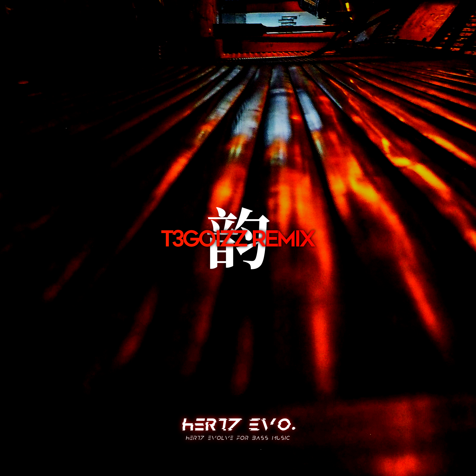 韵（T3GOIZZ remix）