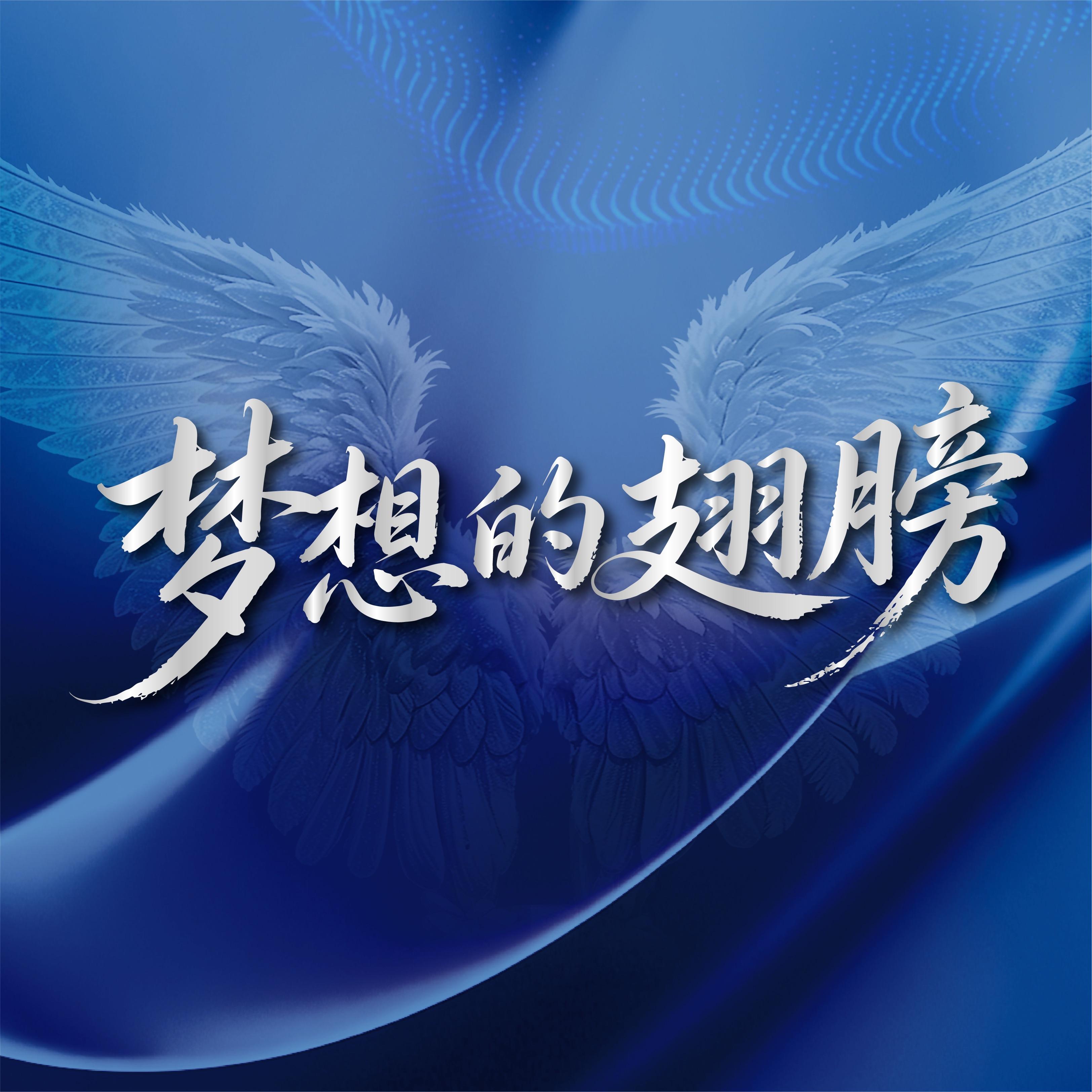 梦想的翅膀