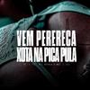 Dj Vitin 2D - VEM PERERECA, XOTA NA PICA PULA (feat. MC NOKA & MC DUDU)