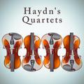 Haydn's Quartets