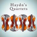 Haydn's Quartets专辑