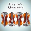 Haydn's Quartets