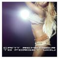 Can't Remember to Forget You - Single