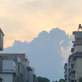 【纯音乐】你想要的温柔都在这里面了