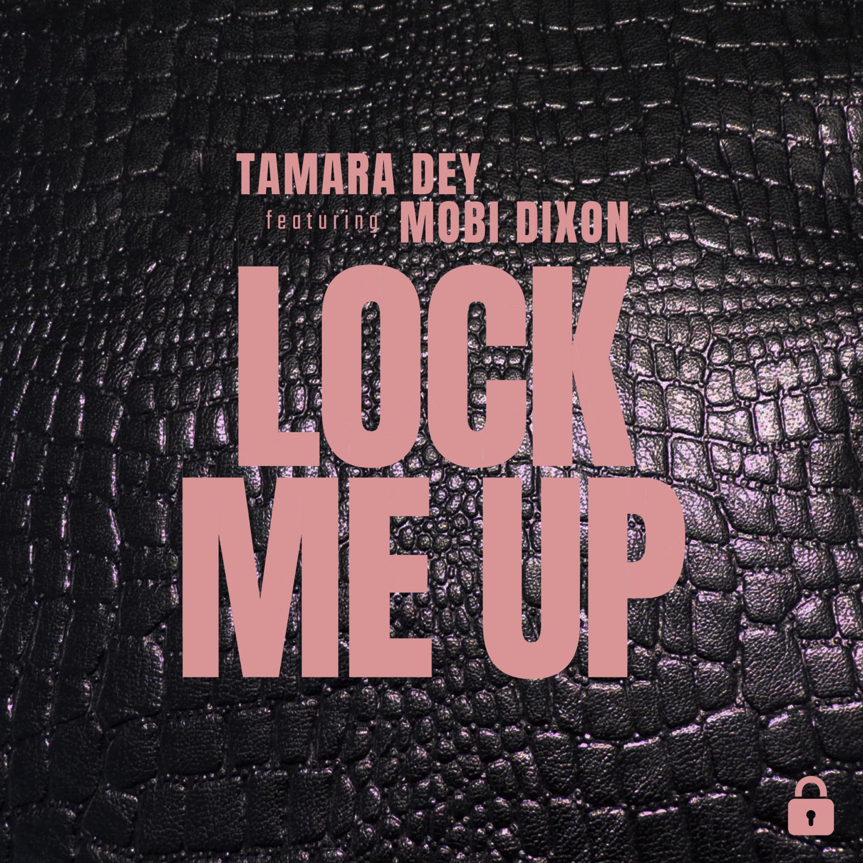 Lock Me Up (Radio Edit)