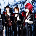 KISAKI PROJECT