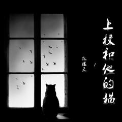 上校和他的猫