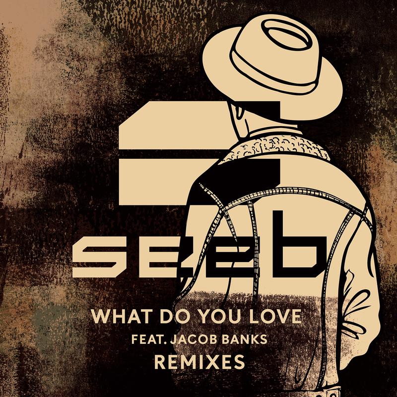 What Do You Love (Remixes)专辑