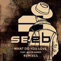 What Do You Love (Remixes)专辑