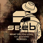 What Do You Love (Zonderling Remix)