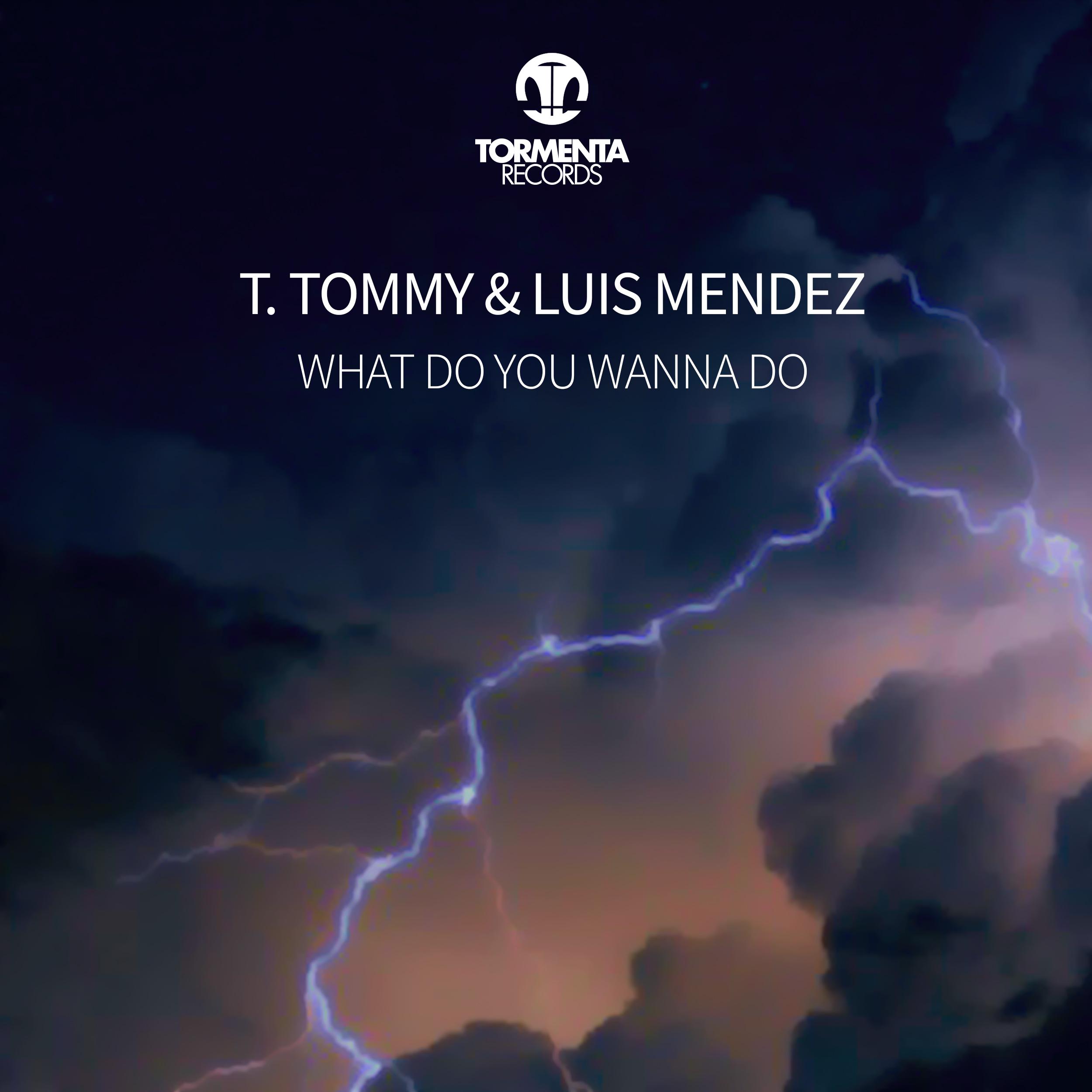 What Do You Wanna Do