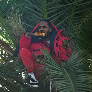 HIPHOP / CHILL RAP
