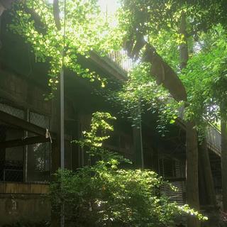 音乐是人类难以诉说的情感