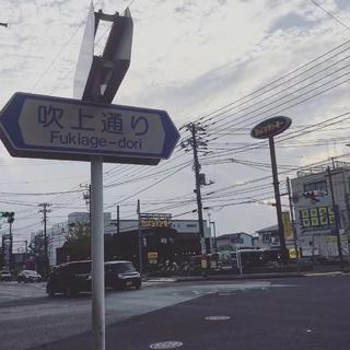 纯 音 乐｜一只和月亮一起出现的树洞