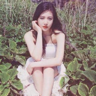 [韩语]春日恋歌♪花，风，还有你
