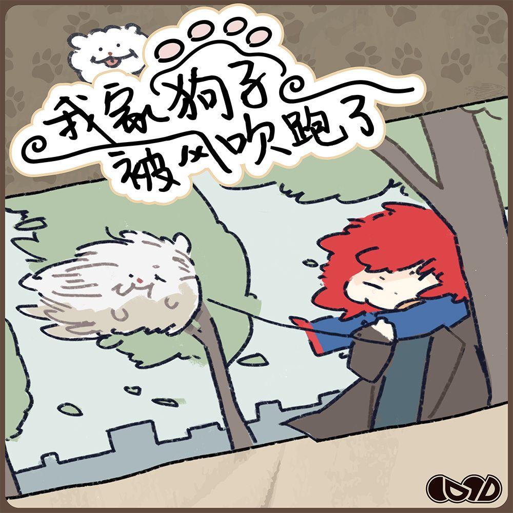 我家小狗被风吹跑了