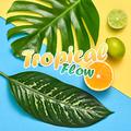 Tropical Flow