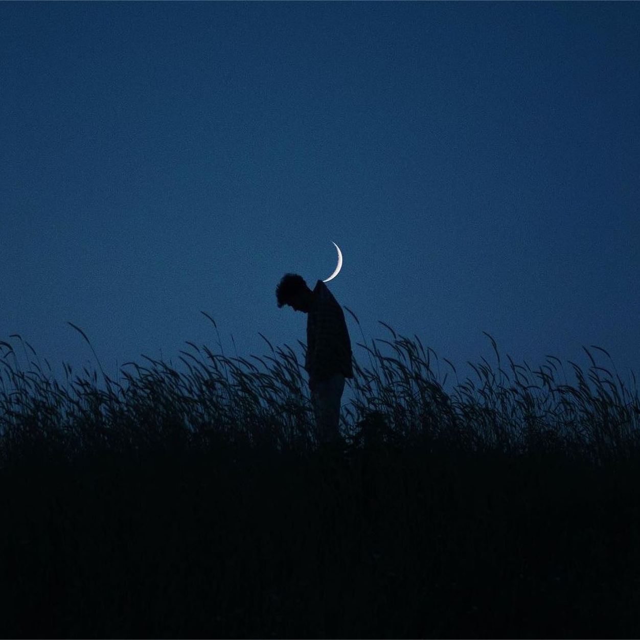 春庭雪（DJ弹鼓版）