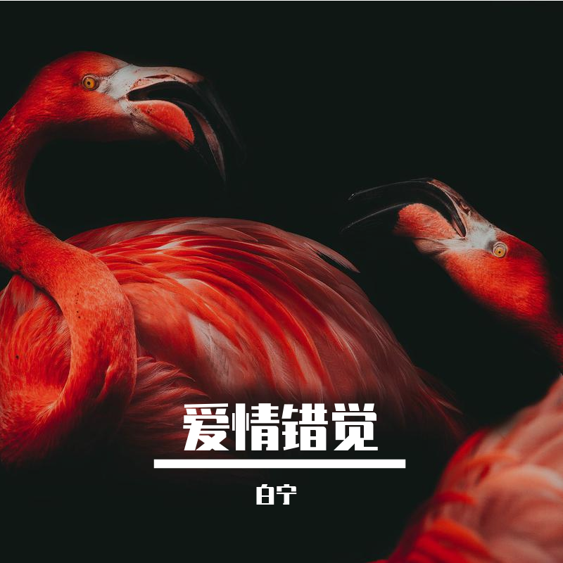 爱情错觉