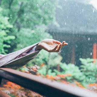 后来春雨落汴京，只君一人雨中停