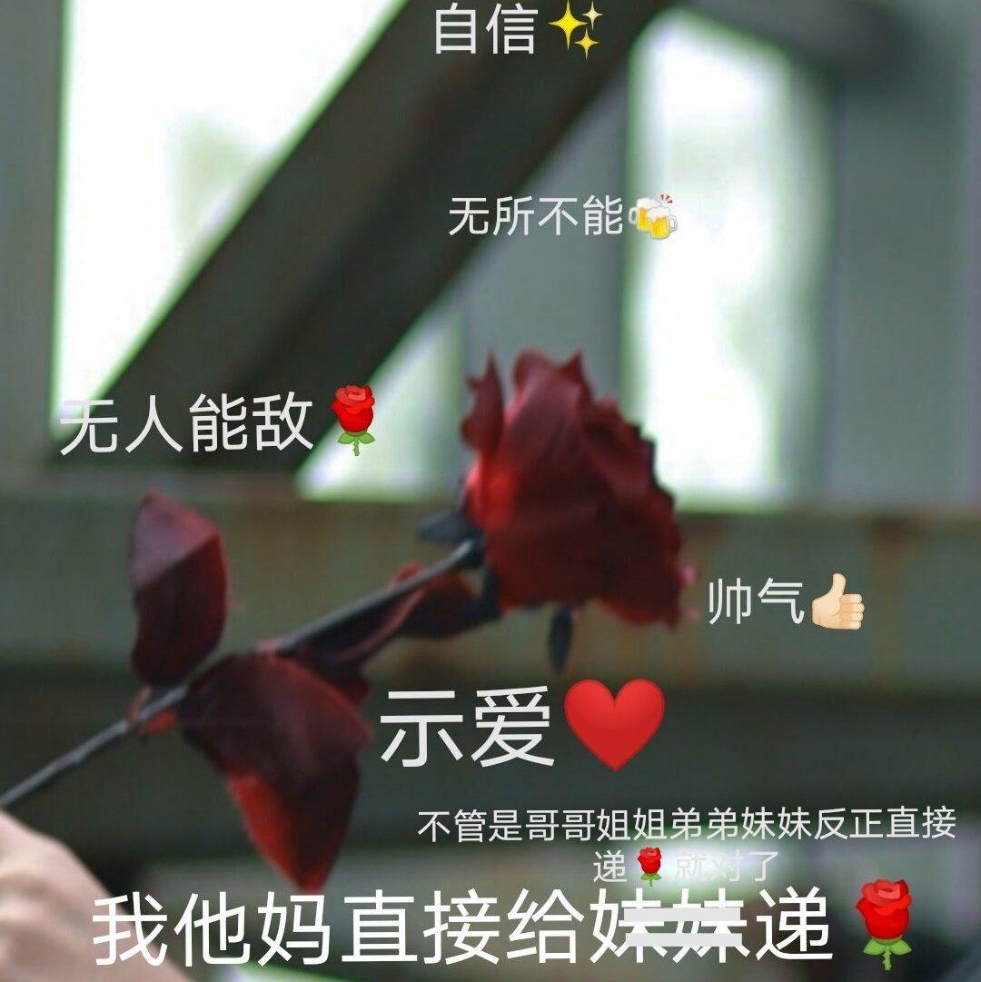那些玩梗的蜜汁好听的歌（主vc sv）