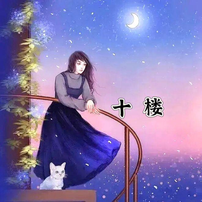 十楼