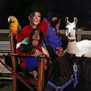 迈克尔杰克逊的全曲（好不容易找到的）