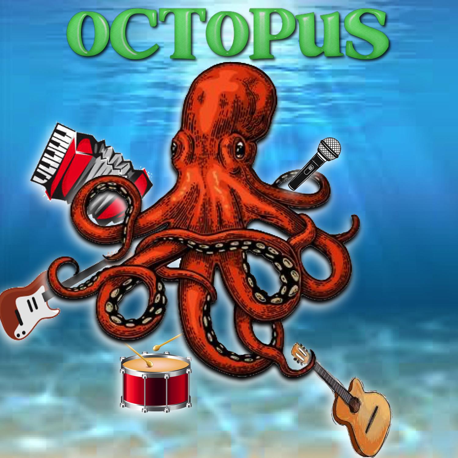 Octopus