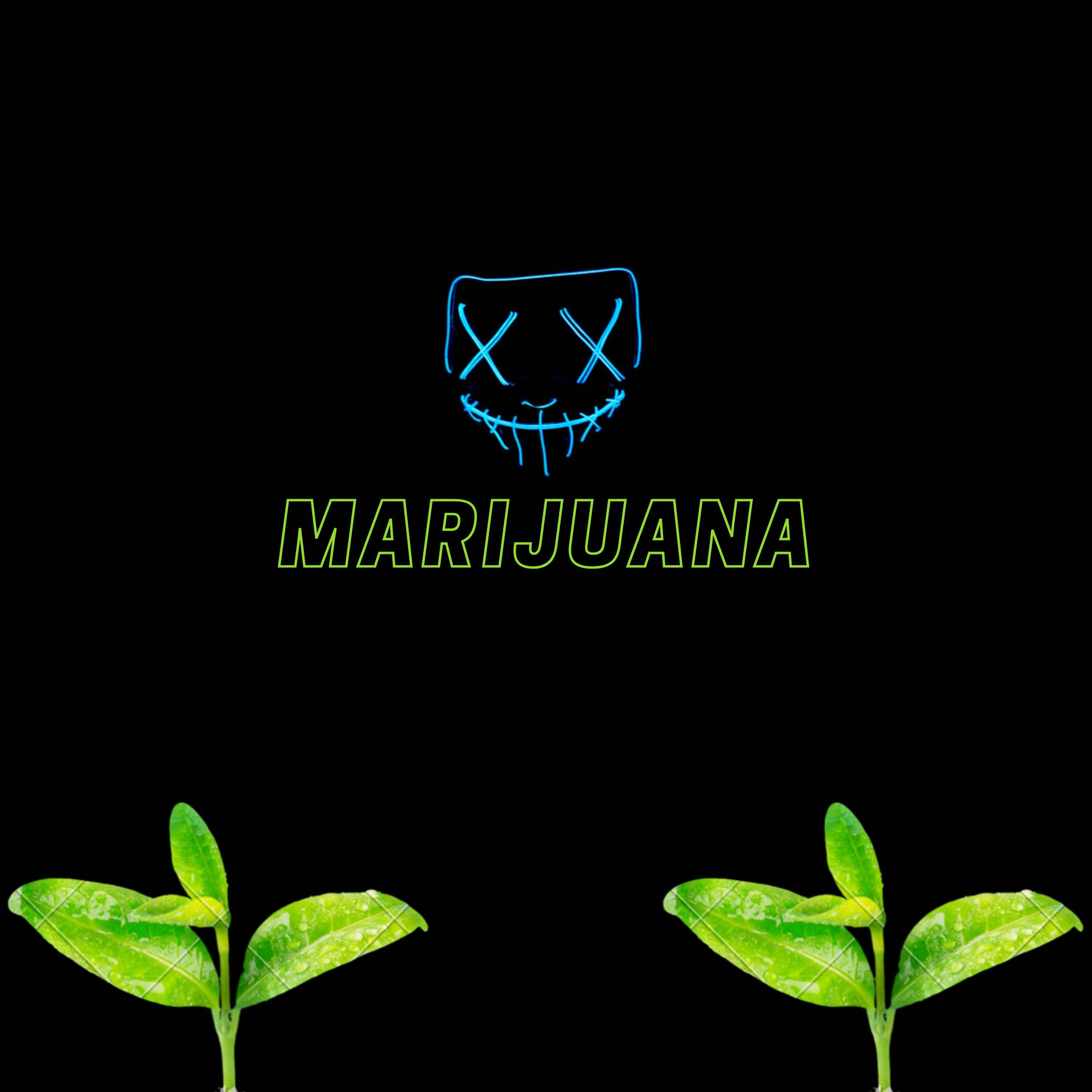 Marijuana
