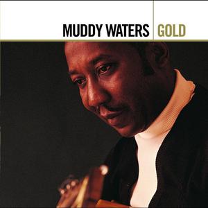 Muddy Waters - Baby, Please Don't Go (Karaoke Version) 带和声伴奏 （降6半音）
