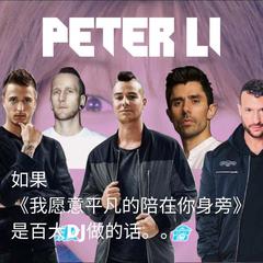 王七七-我愿意平凡的陪在你身旁 (Peter Li future house remix)（Peter Li remix）